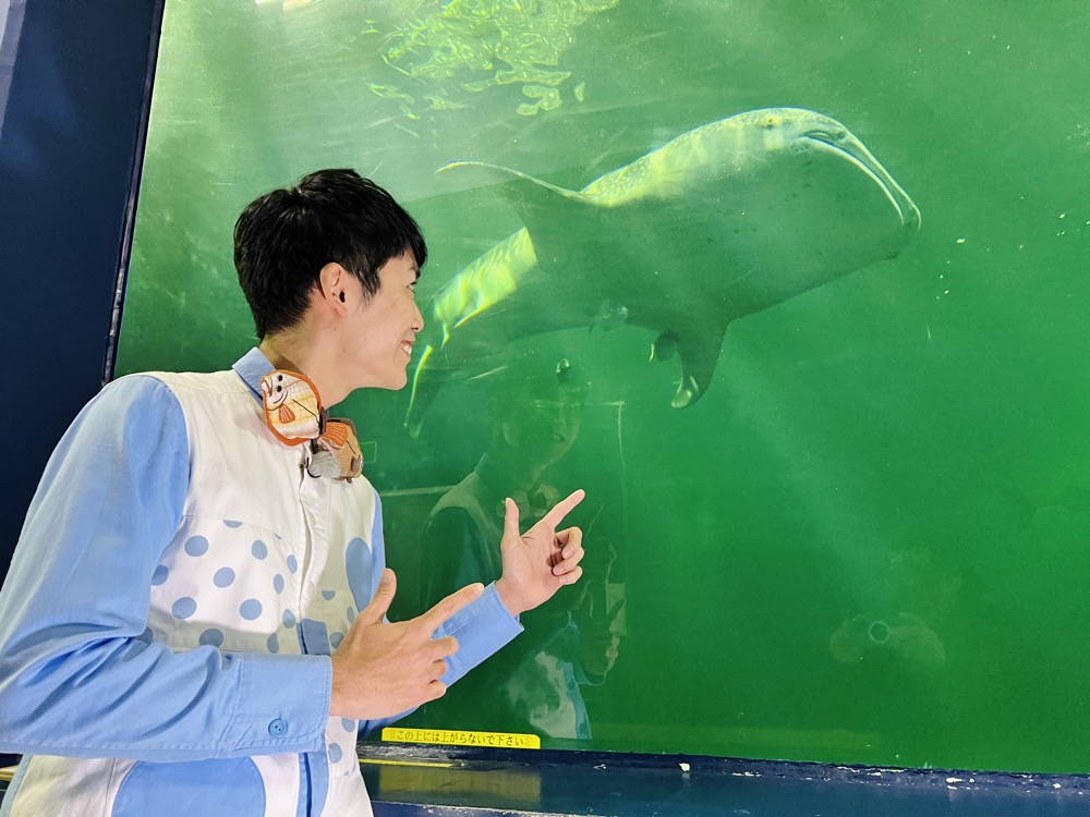 ジンベエザメを指差すさかなのおにいさん かわちゃん