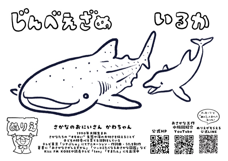 じんべえざめといるかの塗り絵サンプル