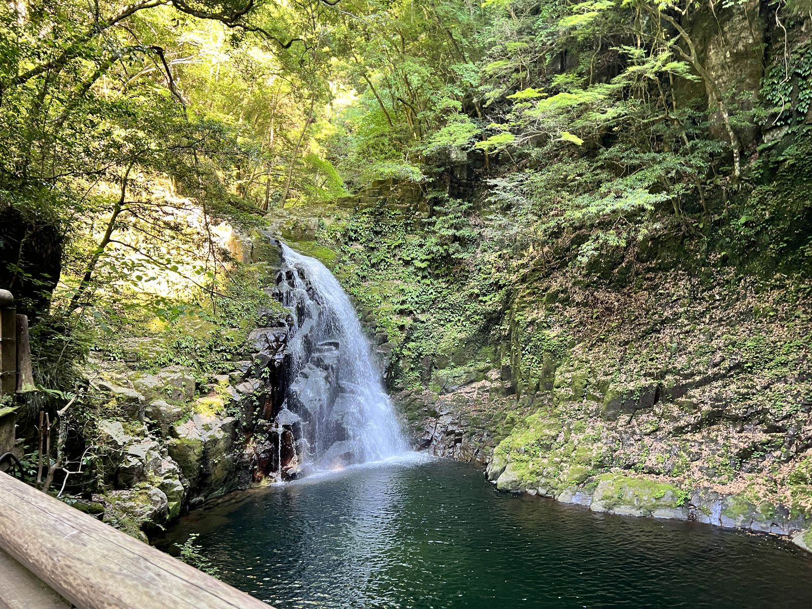 赤目滝水族館