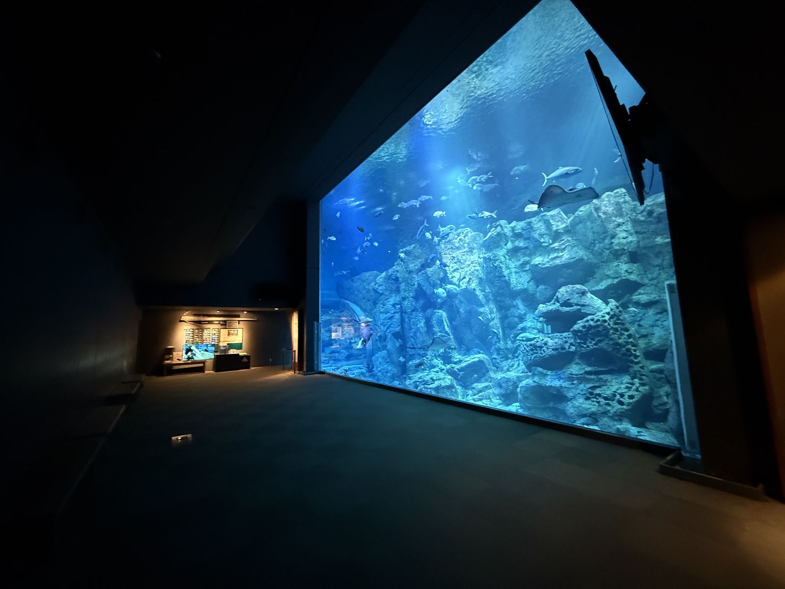 男鹿水族館GAO