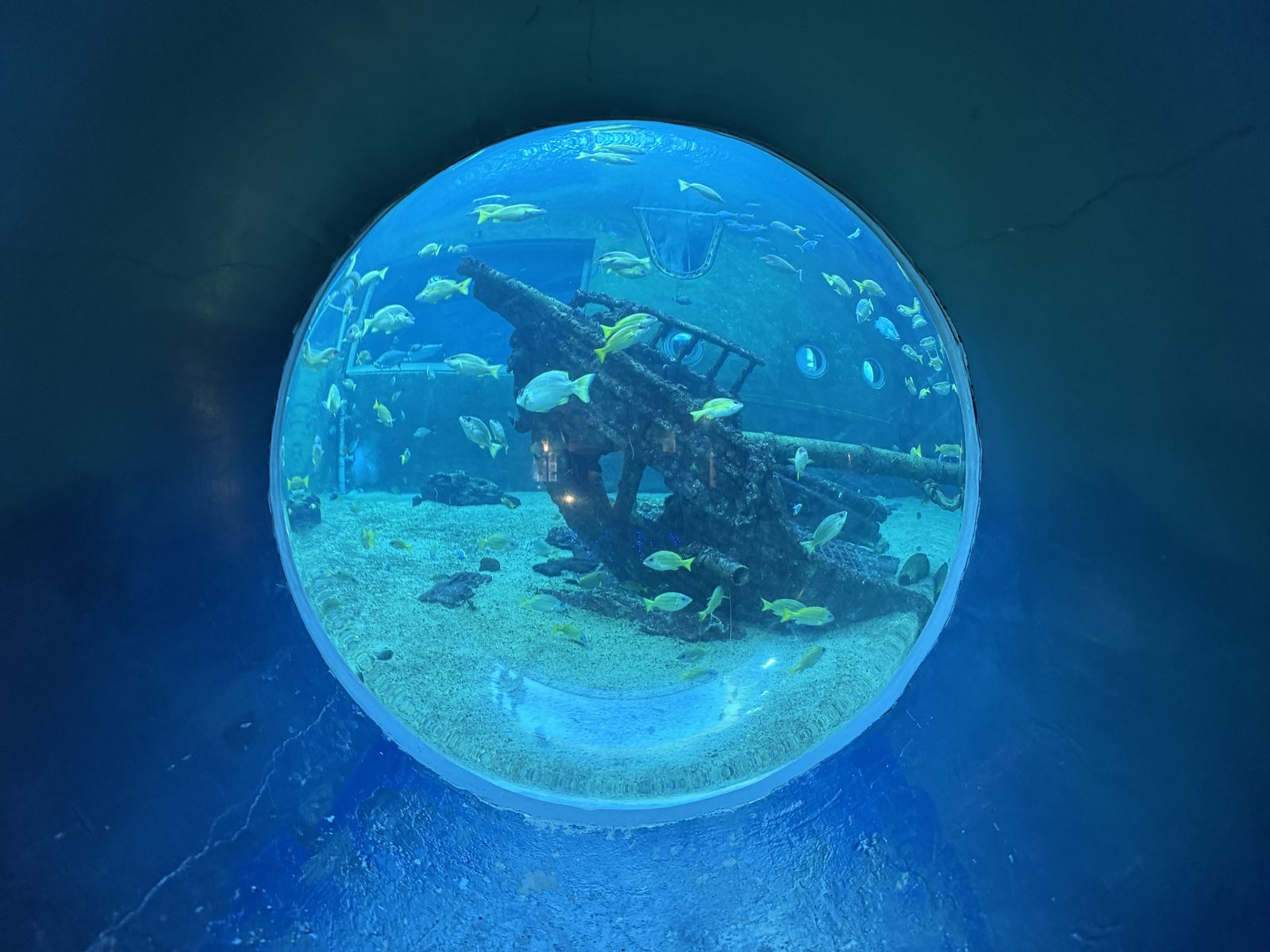 箱根園水族館