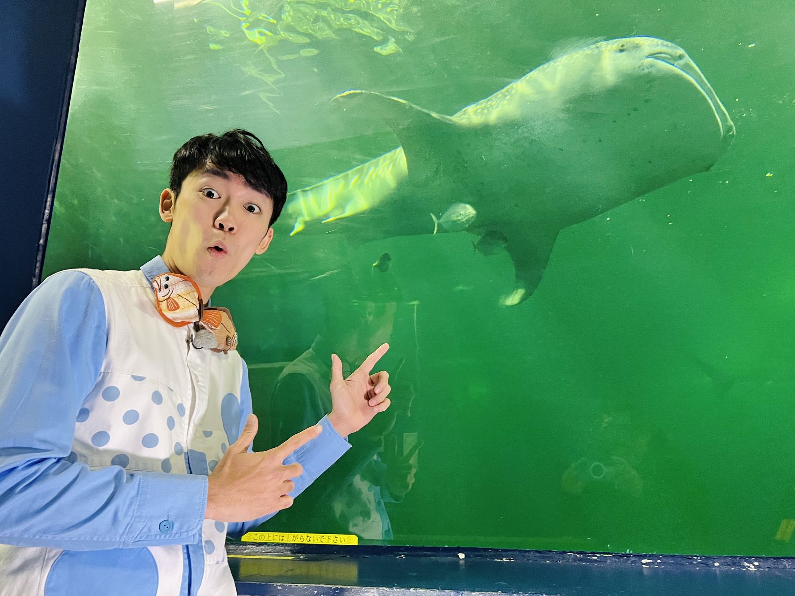 大阪海遊館 海洋生物研究所 以布利センター