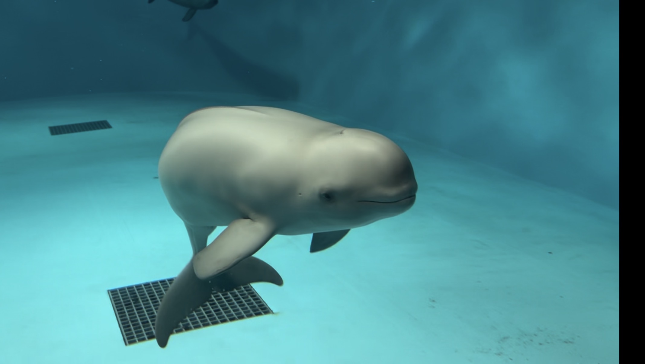 宮島水族館 みやじマリン