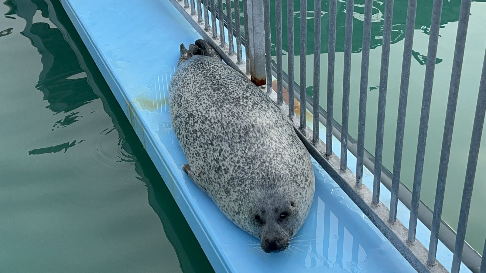 オホーツクとっかりセンター