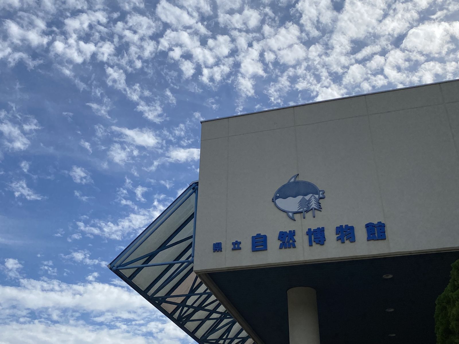 和歌山県立自然博物館