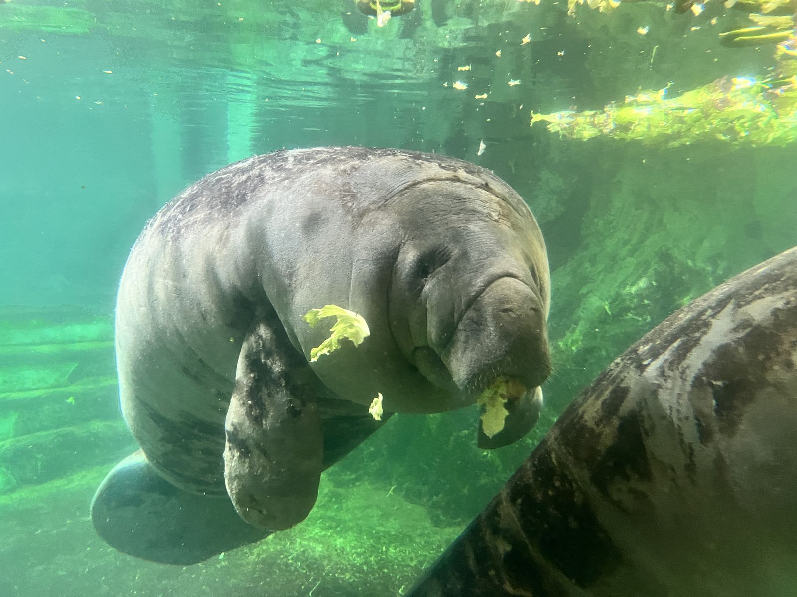 新屋島水族館